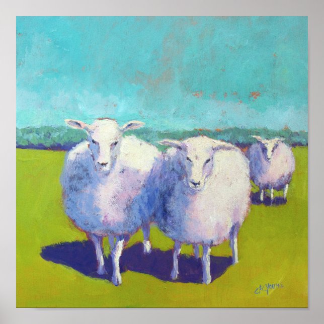 Poster Deux Moutons En Champ (Devant)