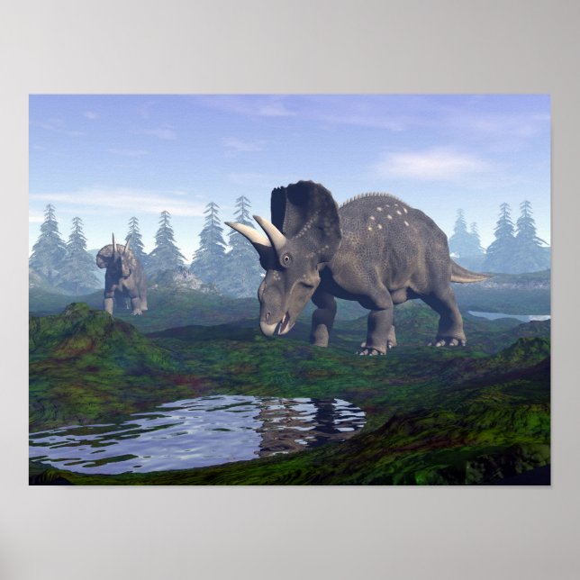 Poster Deux nédoceratops/dicératops dinosaures marchant (Devant)