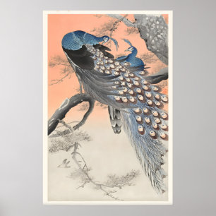 Poster Deux paons sur une branche d'arbre Art fin japonai