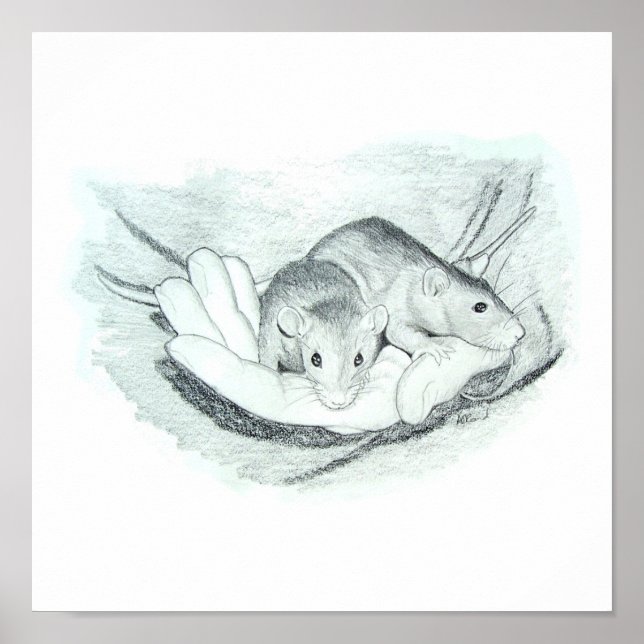 Poster Deux rats dans la main (Devant)