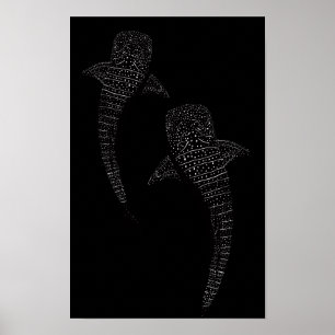 Poster Deux requins baleines noir et blanc