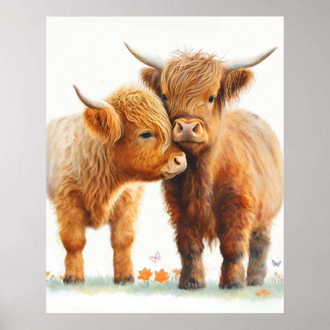 Poster Deux vaches adorables des hautes terres qui s'accr (Devant)