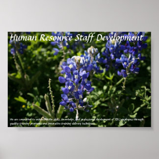 Poster Développement du personnel des ressources humaines