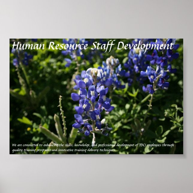 Poster Développement du personnel des ressources humaines (Devant)