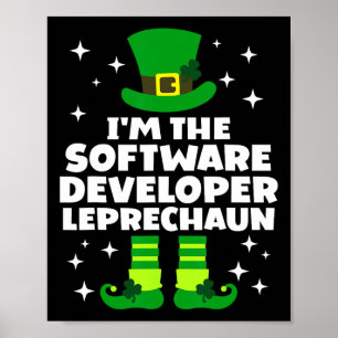 Poster Développeur de logiciels irlandais Leprechaun St P