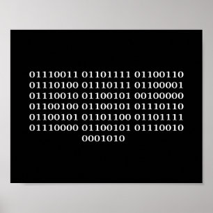 Poster Développeur logiciel