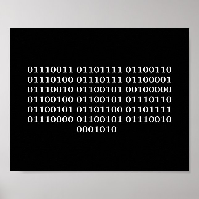 Poster Développeur logiciel (Devant)