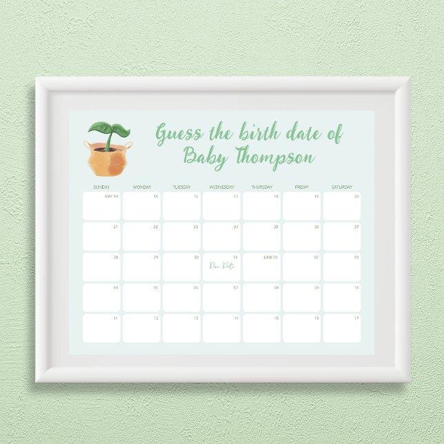 Poster Devinez le calendrier de la date de naissance Litt (Guess the Birth Date Calendar Little Sprout Poster)