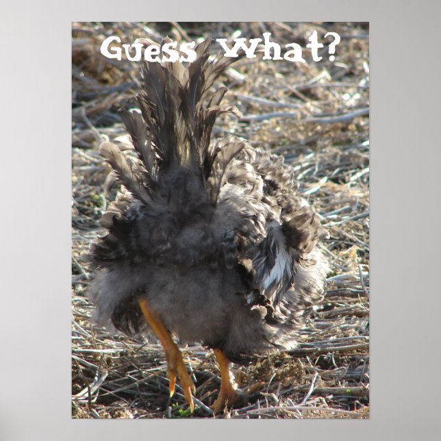 Poster Devinez Quoi ? Bouton de poulet (Devant)