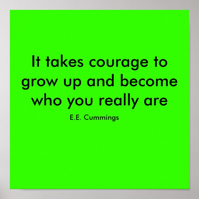 Poster Devis 1 (Devant)