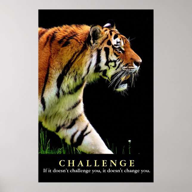 Poster Devis du défi du tigre motivationnel (Devant)