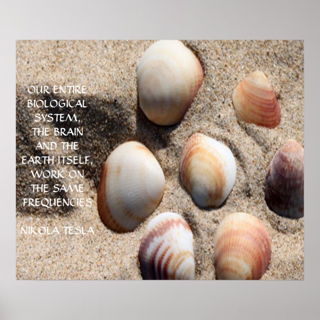 POSTER DEVIS NIKOLA TESLA - MÊME FRÉQUENCES - (Devant)