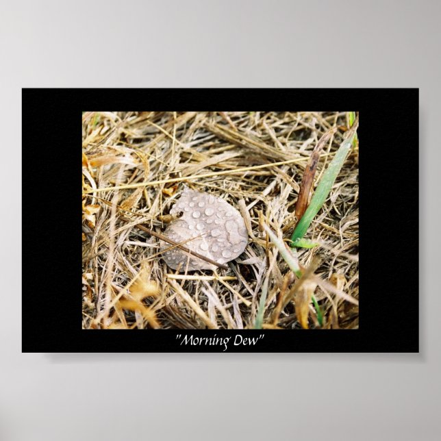 Poster Dew du matin (Devant)