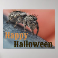 Poster d'Halloween éffrayant Spider