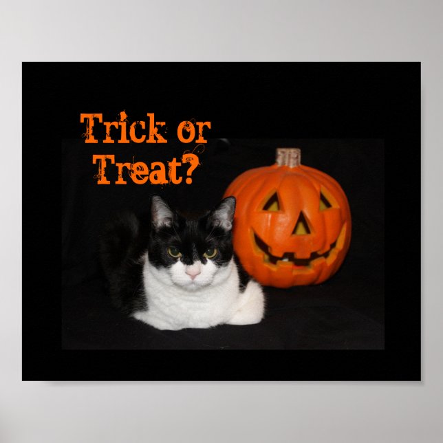 Poster d'Halloween Kitty (Devant)