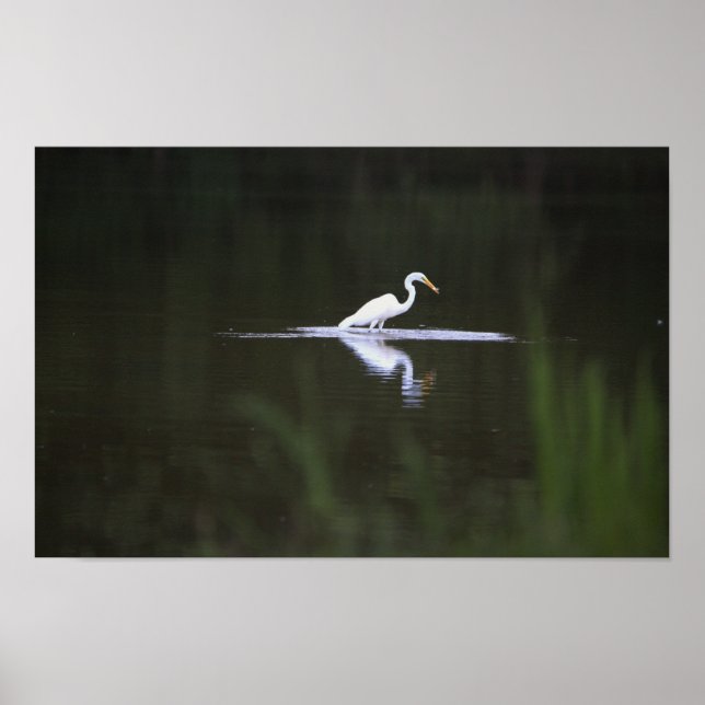 Poster d'Heron Bird sur Water (Devant)