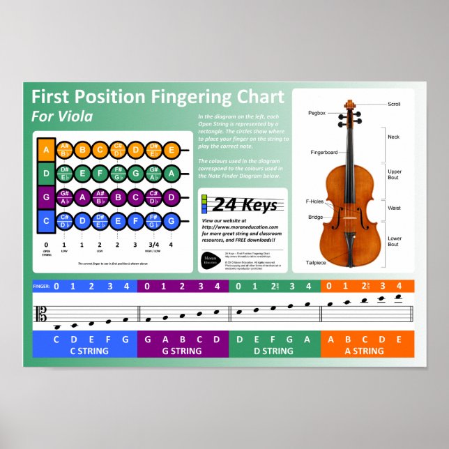 Poster Diagramme d'ailettes en alto (Devant)