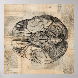Poster Diagramme de cerveau antique Art ancien