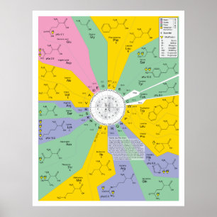 Poster Diagramme de code génétique montrant des résidus