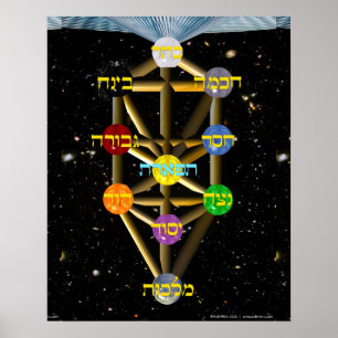 Poster Diagramme de l'arbre de vie avec étiquettes hébreu
