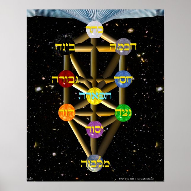 Poster Diagramme de l'arbre de vie avec étiquettes hébreu (Devant)