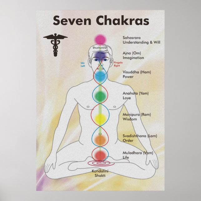 Poster Diagramme des sept chakras (Devant)