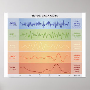 Poster Diagramme des vagues cérébrales humaines - Couleur