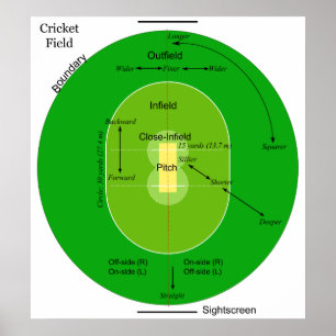Poster Diagramme d'un champ ovale herbeux de cricket
