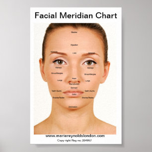 Poster Diagramme méridien facial