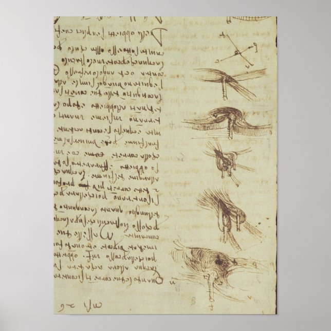 Poster Diagrammes scientifiques (Devant)