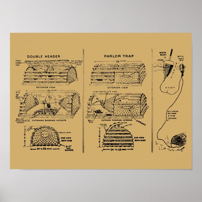 Poster Diagrammes vintages de trappes de homard (Devant)