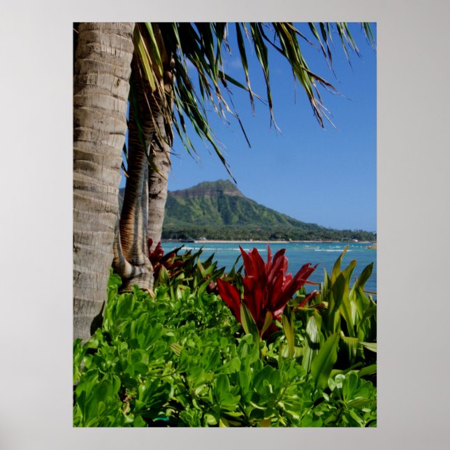 Poster Diamond Head, Honolulu, Hawaii (Devant)