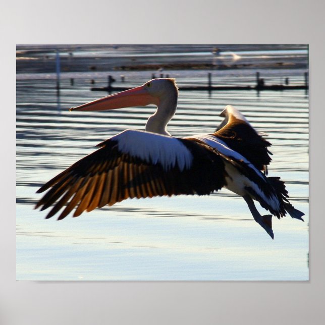 Poster diapositive (Devant)