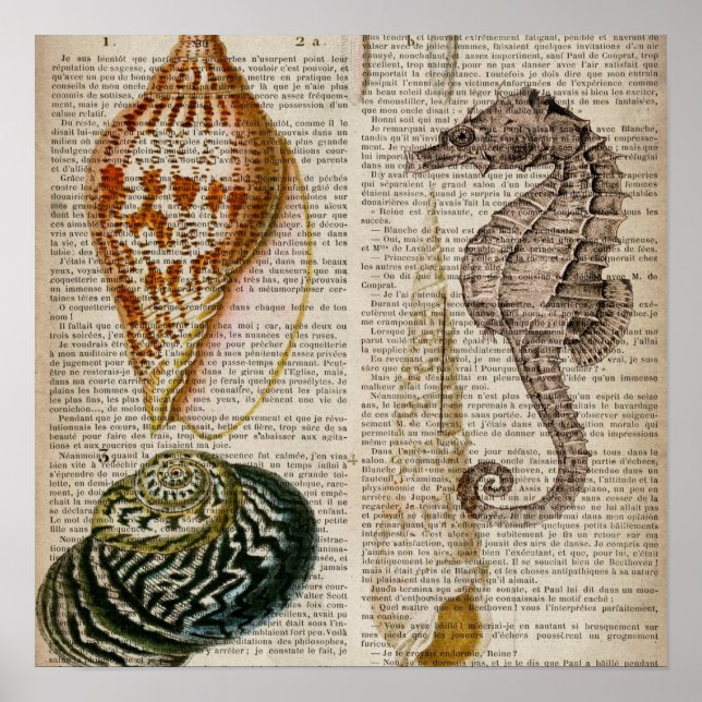 Poster dictionnaire imprimé pays français coquillage vint (Devant)