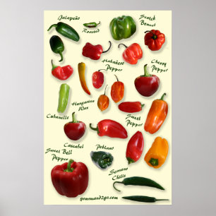 Poster d'identification Chili