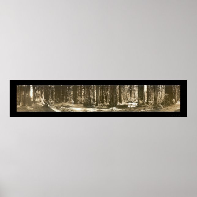 Poster Dids Handiwork Redwood Photo 1912 (Devant)