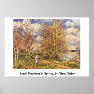 Poster Die Small Meadows Au Printemps, Par Alfred Sisley