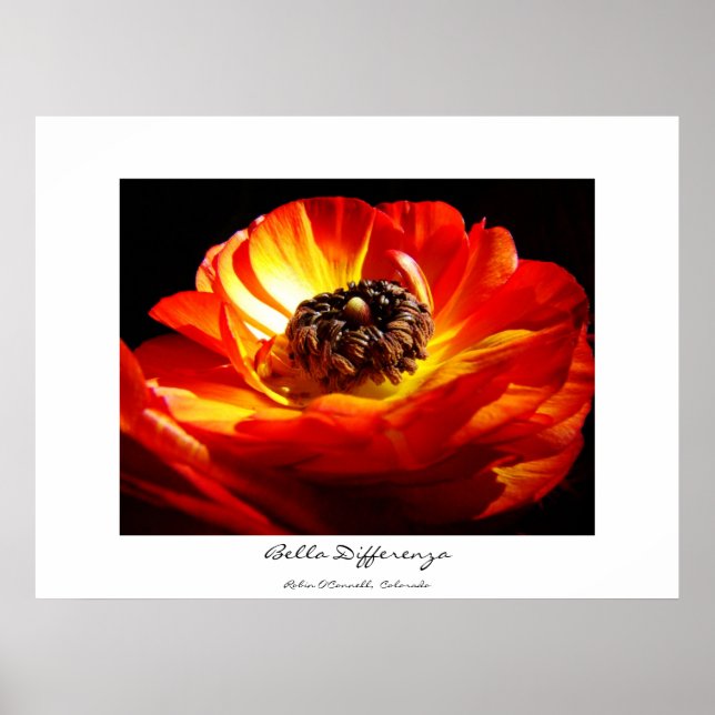 Poster Différence (avec nom) (Devant)