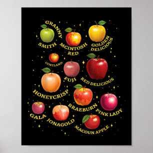 Poster Différentes variétés de pommes Variantes de pommes