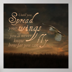 Poster Diffuser votre citation d'ailes