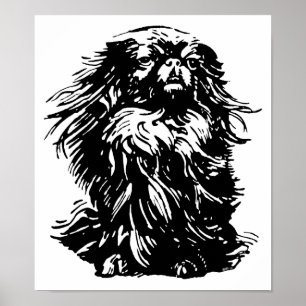 Poster Dignité Pekingese