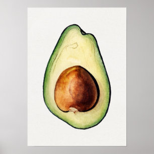 Poster d'illustration botanique