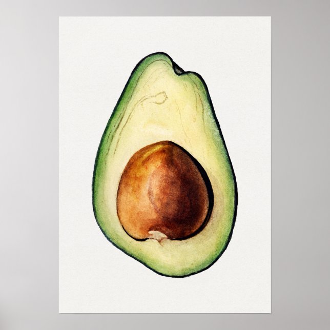 Poster d'illustration botanique (Devant)