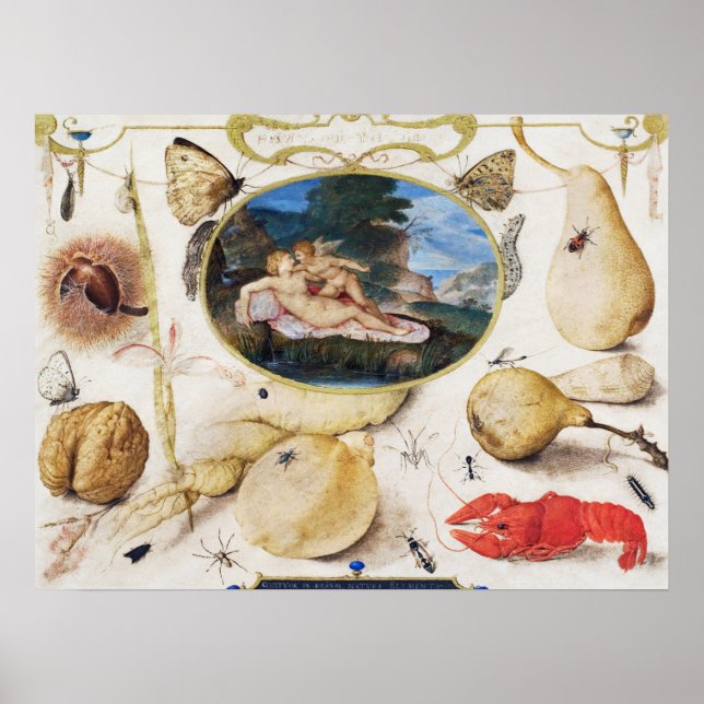 Poster d'illustration botanique vintage (Devant)