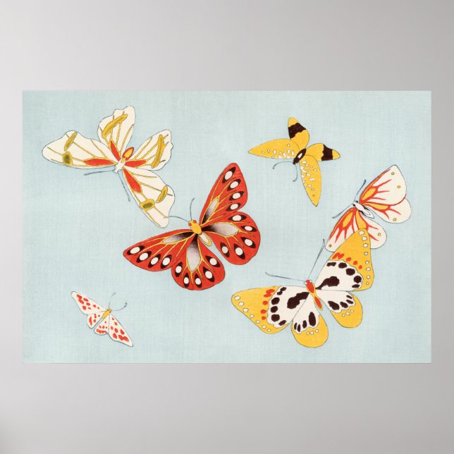 Poster d'illustration papillon (Devant)