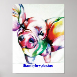 Poster Diméthyltryptamine