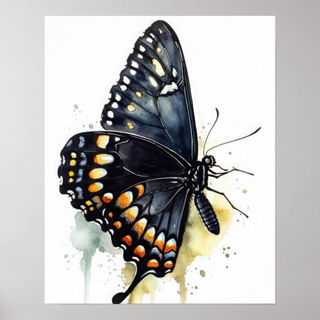 Poster d'impression Black Swallowtail Button Art (Devant)