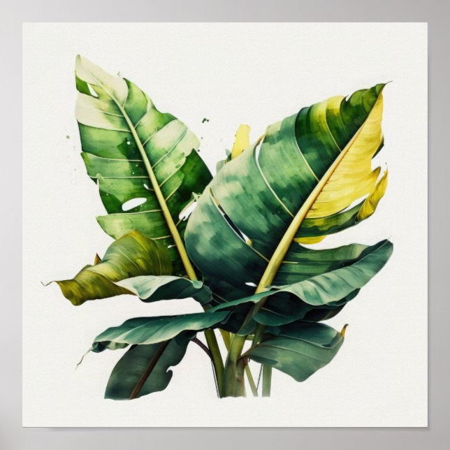 Poster d'impression d'art Feuille Banana (Devant)