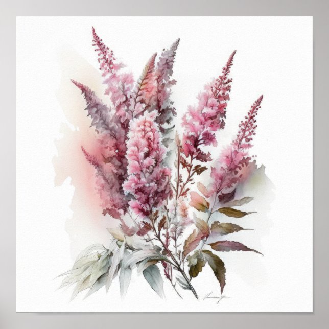 Poster d'impression d'Art rose Astilbe (Devant)
