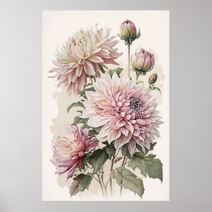 Poster d'impression d'art rose Dahlias